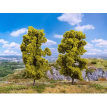 Faller 181578 Kőrisfák, 18 cm, 2 db