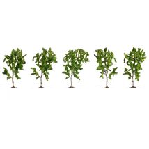 Noch 25630 Nyírfák