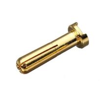 Aranyozott laposfejű, hasított 4mm csati Apa