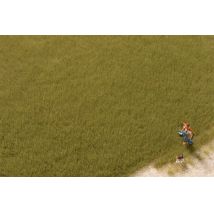 Auhagen 75614 Fű szóróanyag, sztatikus, 4,5 mm, olajzöld, 50 g