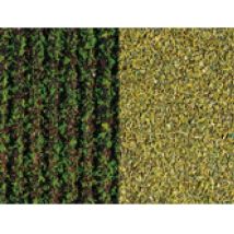 Auhagen 76941 Fűlap, krumpliföld/zöld vetés, 33 x 22 cm