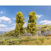 Faller 181574 Nyírfák, 18 cm, 2 db