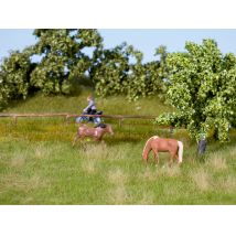 Noch 07403 Fűlap, nyári rét