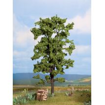 Noch 21780 Hársfa, 18,5 cm