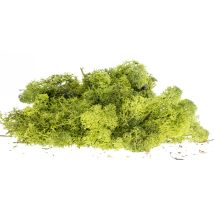 Izlandi moszat, fenyőzöld, 80 g