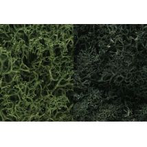 Woodlands L168 Izlandi moszat, sötétzöld