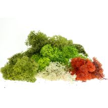 Izlandi moszat, vegyes színezésű, 80 g