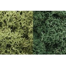 Woodlands L167 Izlandi moszat, világoszöld