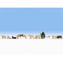 Noch 45750 Juhász és juhok