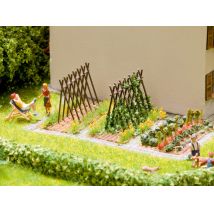 Noch 14200 Lézervágott futóbab