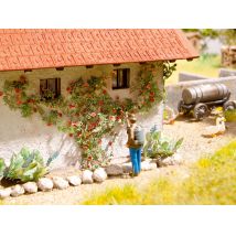 Noch 14118 Lézervágott futórózsa, 6 db