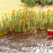 Noch 14140 Lézervágott vízililom, 18 db