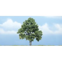 Woodlands TR1615 Bükkfa, 10 cm