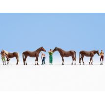 Noch 15632 Lovak és lovasok