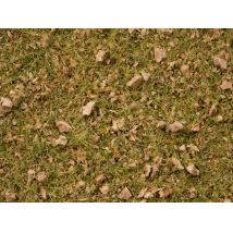 Noch 07079 Fű szóróanyag, alpesi (köves) legelő, 2,5-6 mm, 100 g