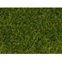 Noch 07098 Fű szóróanyag, májusi zöld, 12 mm, 80 g