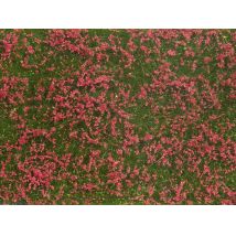 Noch 07257 Téphető fűlap, vörösvirágos rét, 12 x 18 cm