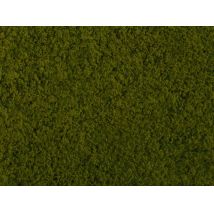 Noch 07270 Téphető lombozat, aljnövényzet, világoszöld