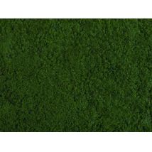 Noch 07271 Téphető lombozat, aljnövényzet, sötétzöld