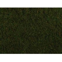 Noch 07272 Téphető lombozat, aljnövényzet, olajzöld