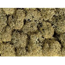 Noch 08600 Izlandi moszat, kőszürke, 35 g