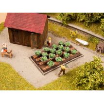 Noch 13217 Lézervágott fejeskáposzta, 16 db