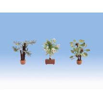 Noch 14023 Lézervágott mediterrán növények