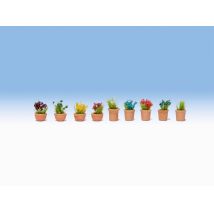 Noch 14084 Cserepes virágok, 9 db