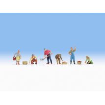 Noch 15613 Gyümölcs- és zöldségszedés