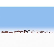 Noch 15775 Vadmadarak sas, gólya, sólyom