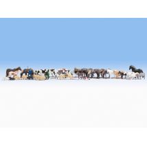 Noch 16049 Házillatok, 30 db