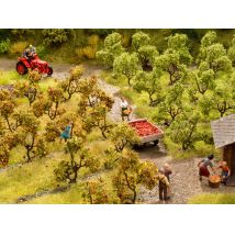 Noch 21532 Almafacsemeték, 3,5 cm, 12 db