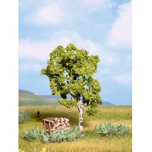 Noch 21640 Nyírfa, 11,5 cm