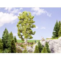 Noch 21641 Duplatörzsű nyírfa, 19 cm