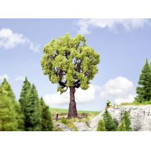 Noch 21761 Tölgyfa, 19 cm