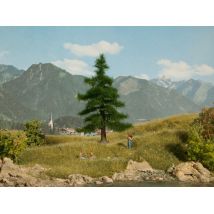 NOCH 21810 Nordmanntanne
