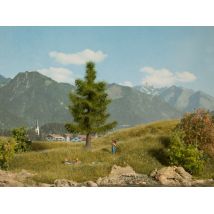 Noch 21815 Lucfenyő, 12 cm