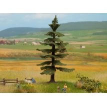 Noch 21819 Nordmann fenyő, 12 cm