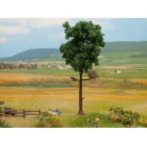 NOCH 21914 Erdei fenyő, 15 cm