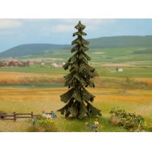 Noch 21922 Lucfenyő, 14,5 cm