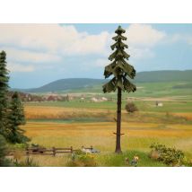 Noch 21927 Lucfenyő, 18,5 cm