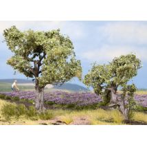 Noch 21995 Olajfák, 6/9 cm, 2 db