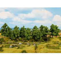 Noch 24603 Lombos fák, 4-10 cm, 16 db