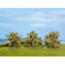 Noch 25114 Narancsfa, 4 cm, 3 db