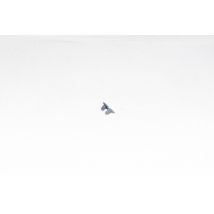 Roco 108091 kuplung fedél-TT /Kupplungsdeckel-TT-Spur/