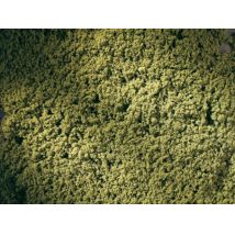 Szóróanyag, lombozat, középzöld, 300 ml