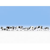 Noch 15721 Tarka tehenek