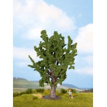 Noch 25860 Tölgyfa, 15 cm