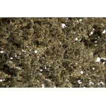 Woodland F1134  Lombozat ágakkal, 'elszáradt, beteg fa'