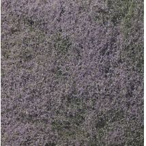 Woodland F177 Aljnövényzet, lila virág, finom szivacsos